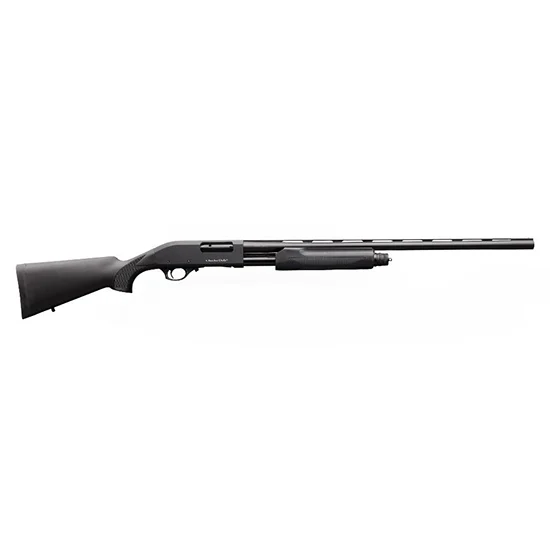 CDLY 301 FIELD 20GA 3 26 MC3 BLK SYN PUMP